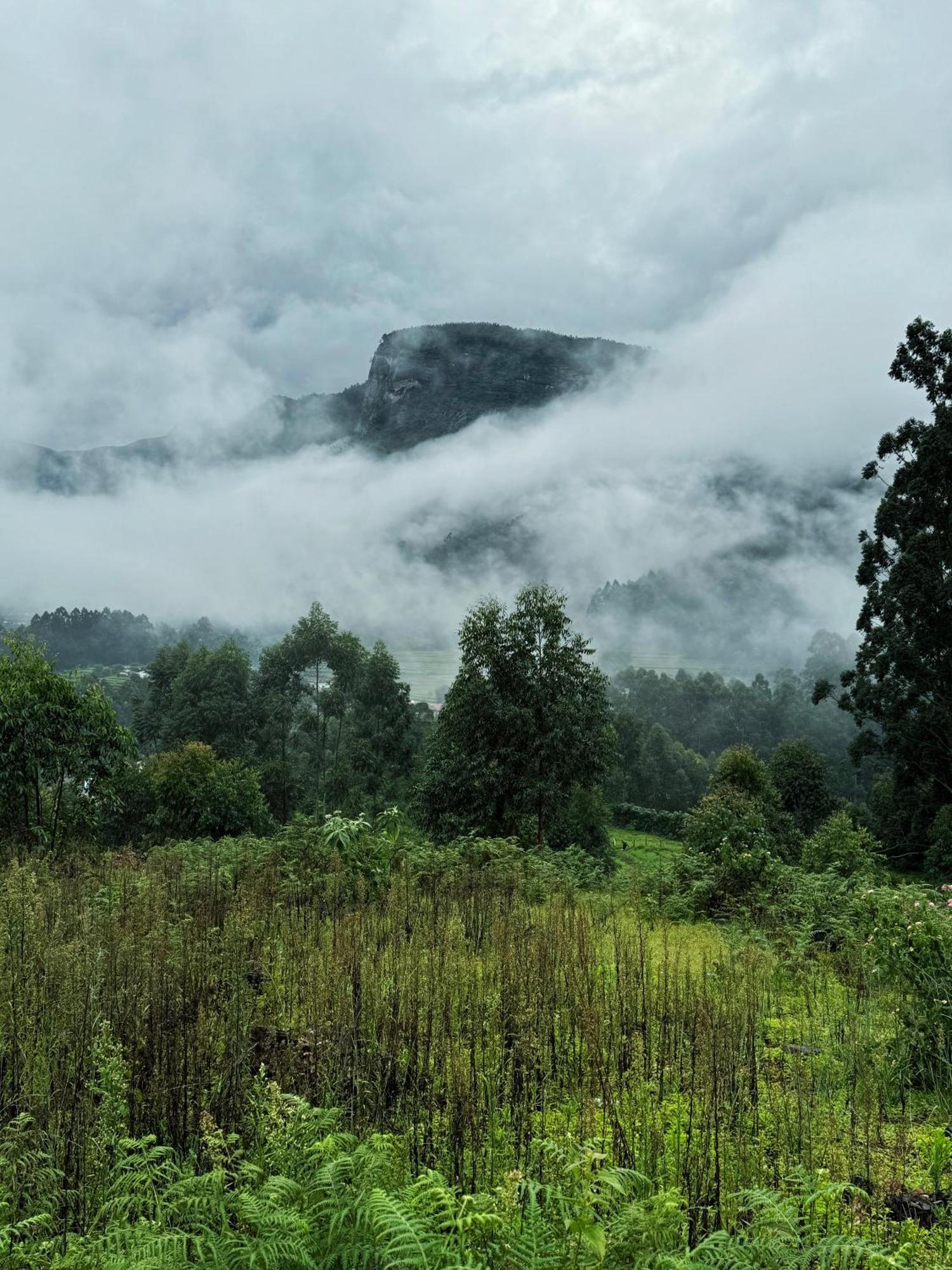 Farm Stay - Apple Valley Kanthalloor Bagian luar foto