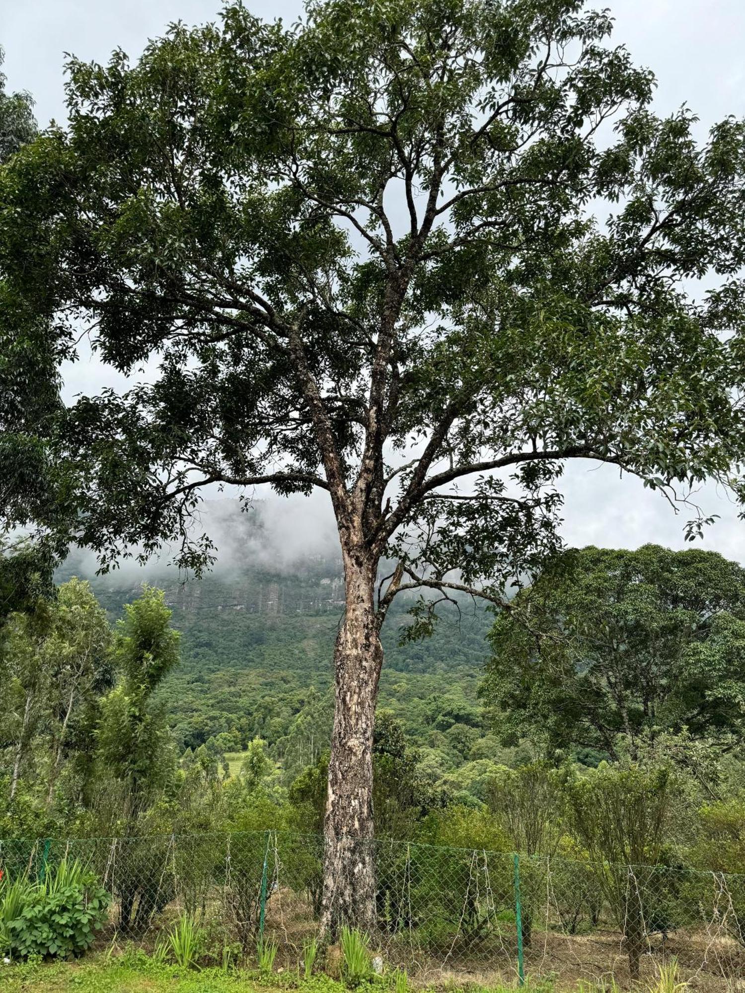 Farm Stay - Apple Valley Kanthalloor Bagian luar foto